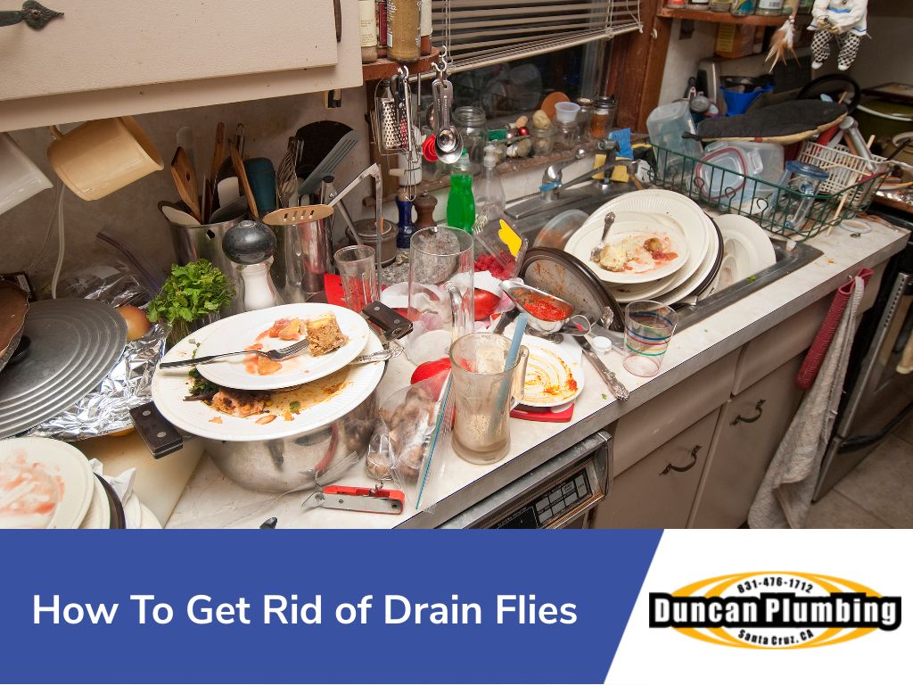 How To Get Rid Of Drain Flies: Tips From Mr. Rooter Plumbing